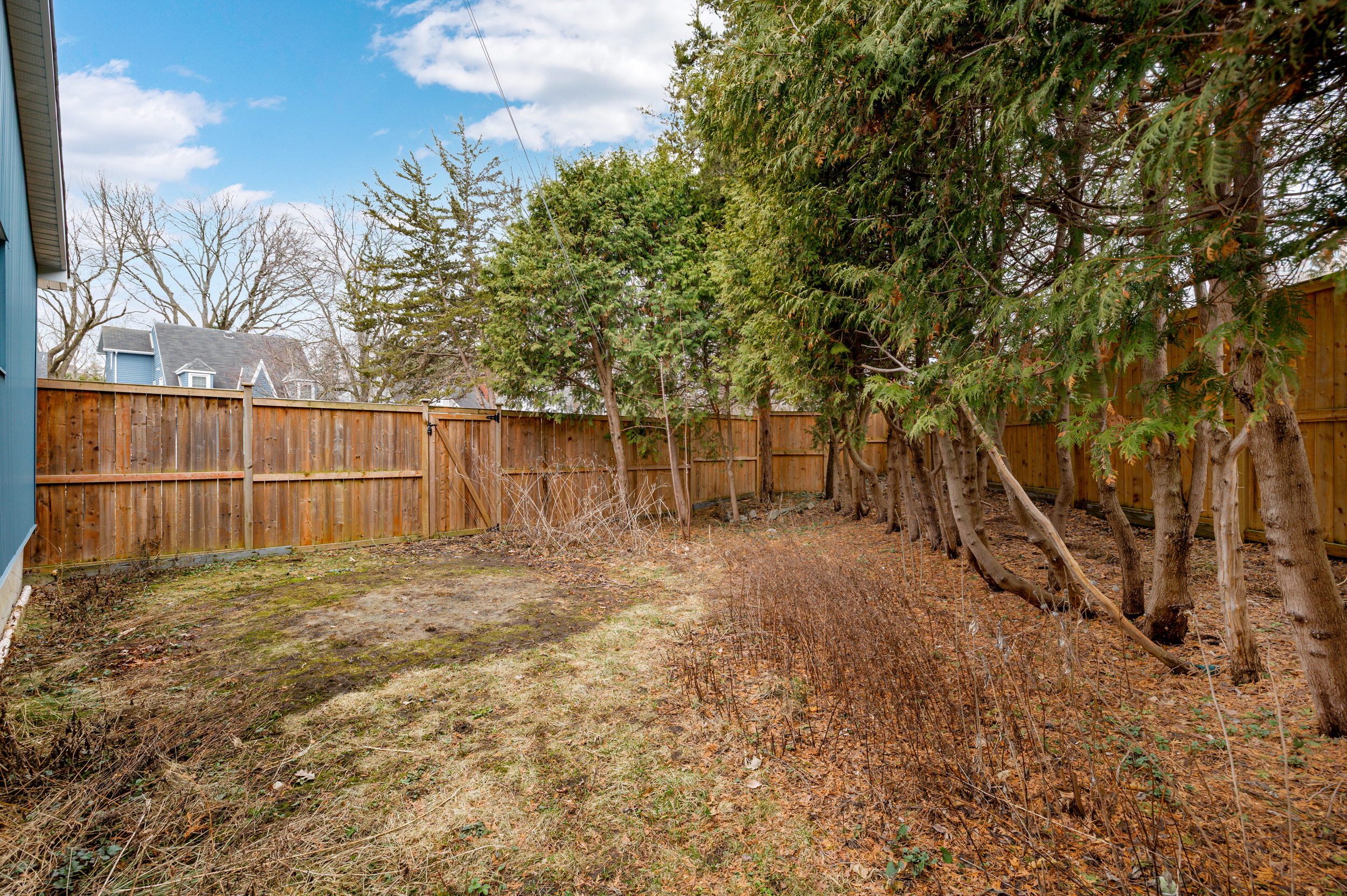 229 G - Backyard 2 229 G - Backyard 2